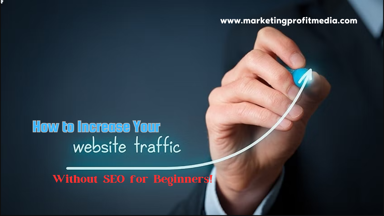 How to Increase Your Website Traffic Without SEO for Beginners!