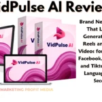 VidPulse AI Review