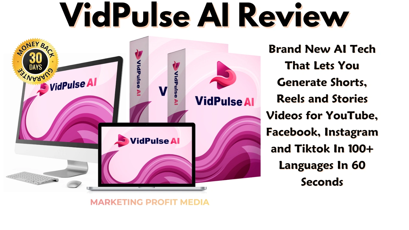 VidPulse AI Review