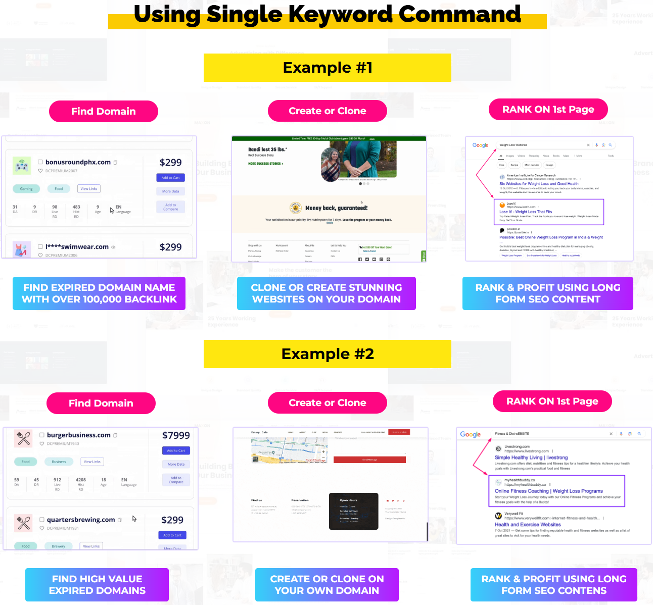 DomainNinja-Example